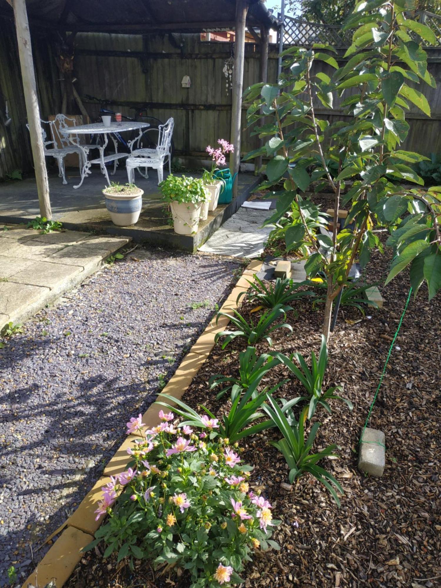Spring Lodge Bournemouth Bagian luar foto